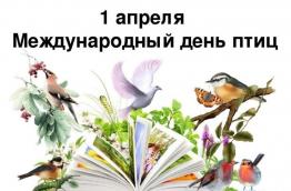Международный день птиц