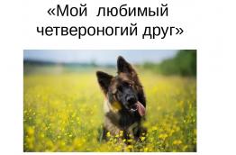 "Мой четвероногий друг"