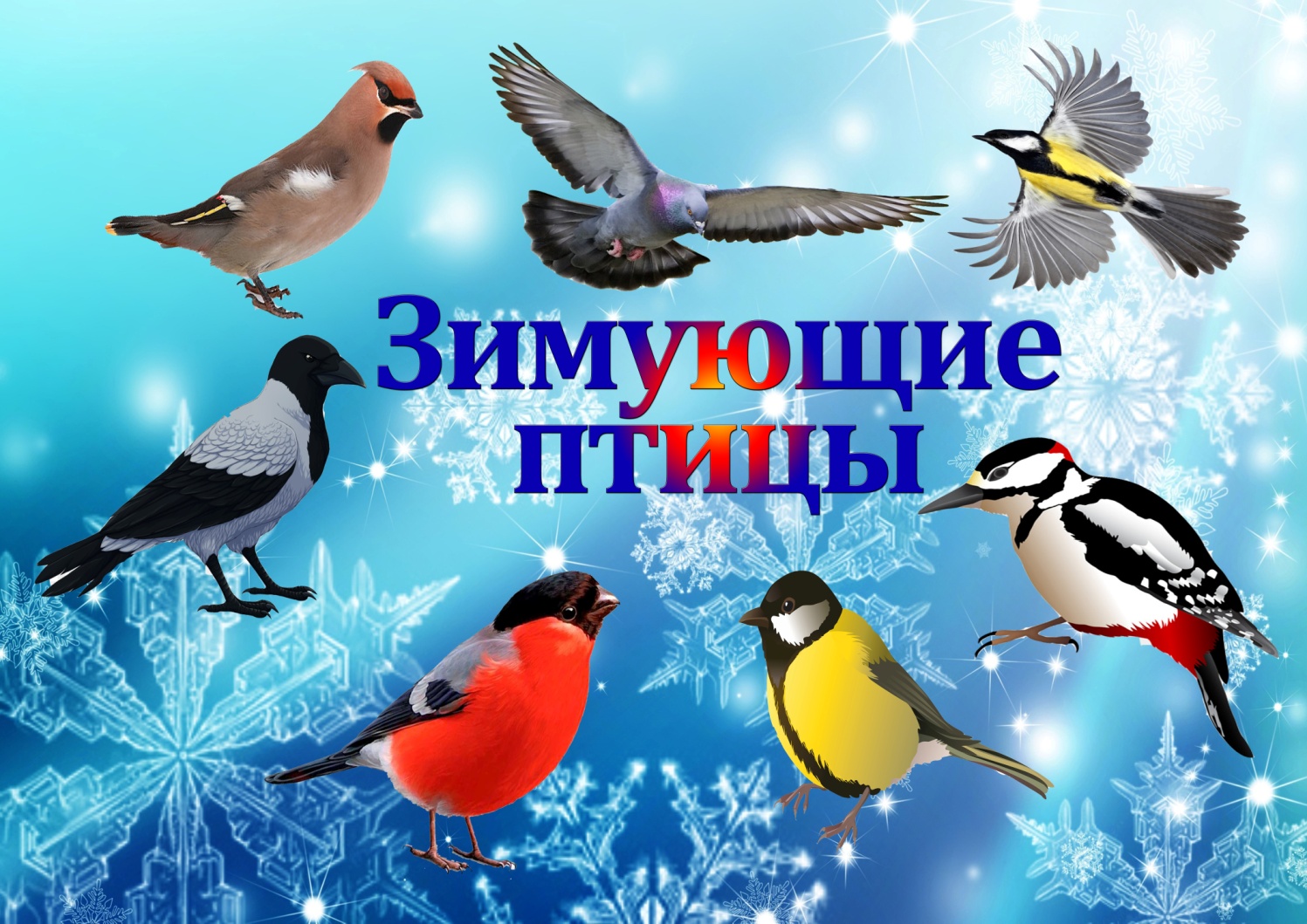 Зимующие птицы в городе | Средняя общеобразовательная школа № 29 имени  Игоря Рысьева